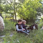 El Ribero I Llanteno