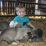 Фермерский дом El Ribero I *