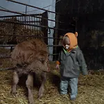 El Ribero I مزرعة للإقامة Llanteno