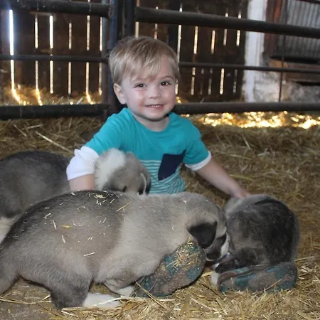 Farm stay El Ribero I *