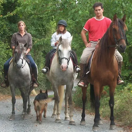 El Ribero I * Llanteno