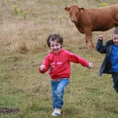 El Ribero I Farm stay Llanteno