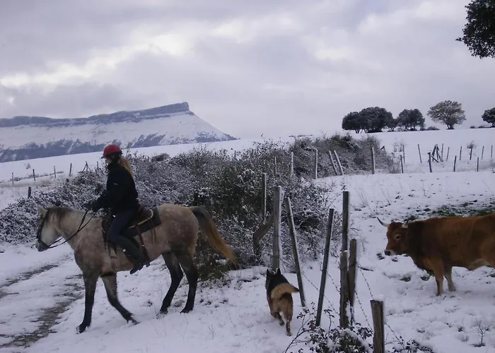 El Ribero I Llanteno