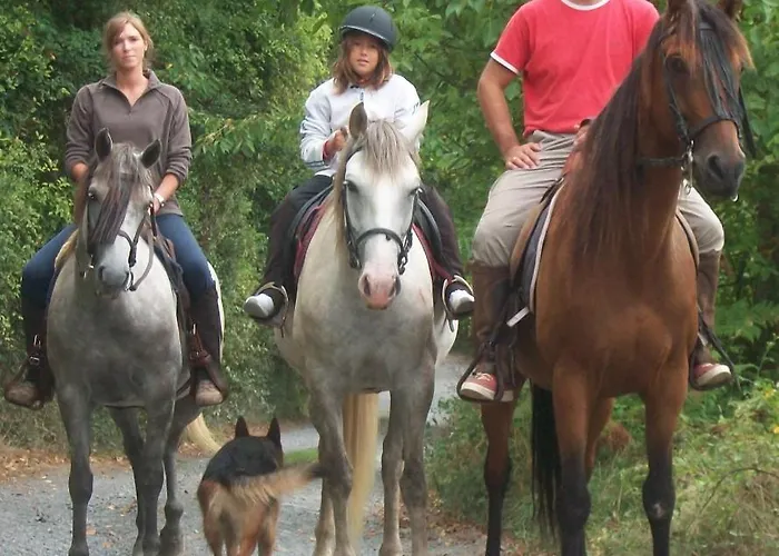 El Ribero I * Llanteno