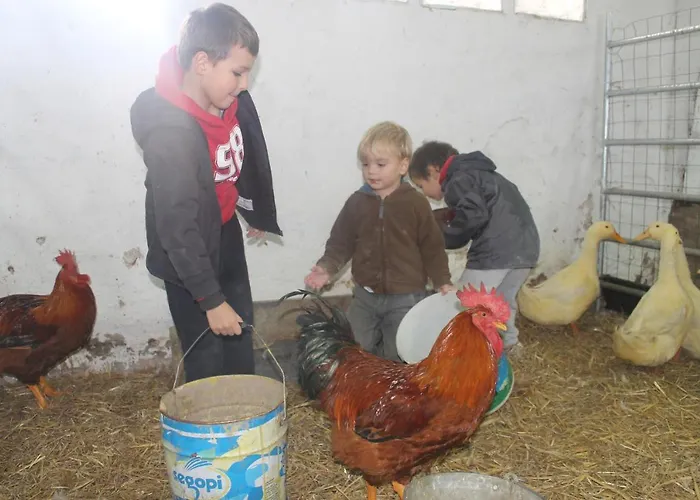 El Ribero I Κατάλυμα σε φάρμα