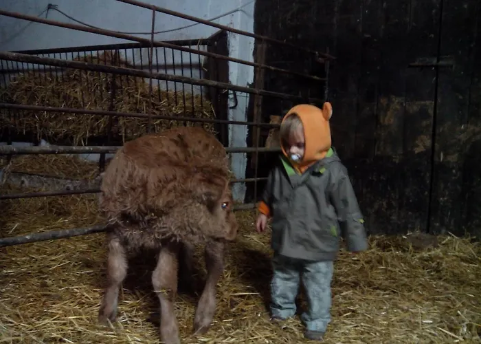 El Ribero I Κατάλυμα σε φάρμα Llanteno